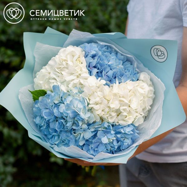 Букет из 5 голубых и белых гортензий
