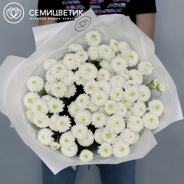 Букет из 25 белых кустовых хризантем