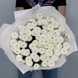 Букет из 25 белых кустовых хризантем