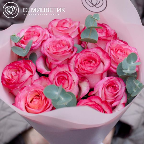 Букет из 11 кремовых с розовой каймой роз Caroussel 50 см (Эквадор) с эвкалиптом