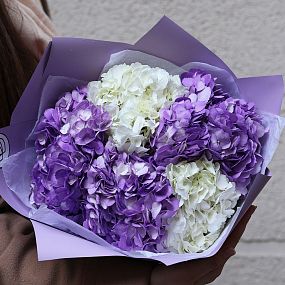 Букет из 5 белых и фиолетовых гортензий