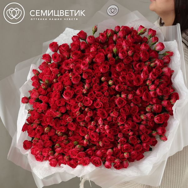 Букет из 101 малиновой кустовой розы 40-50 см (Россия)