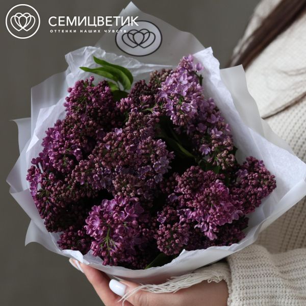 Букет из 9 веток сирени