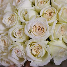 Букет из 51 белой пионовидной розы White O'Hara 40 см