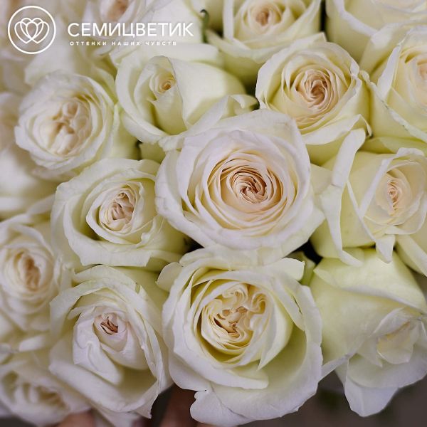 Букет из 51 белой пионовидной розы White O'Hara 40 см
