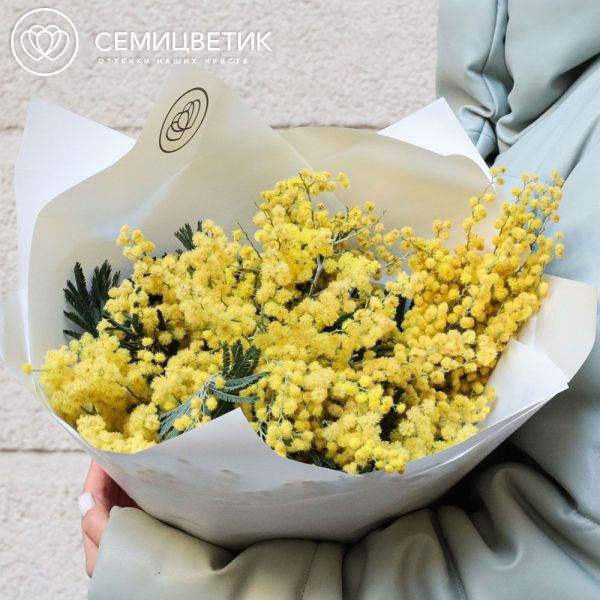 Букет из 9 мимоз
