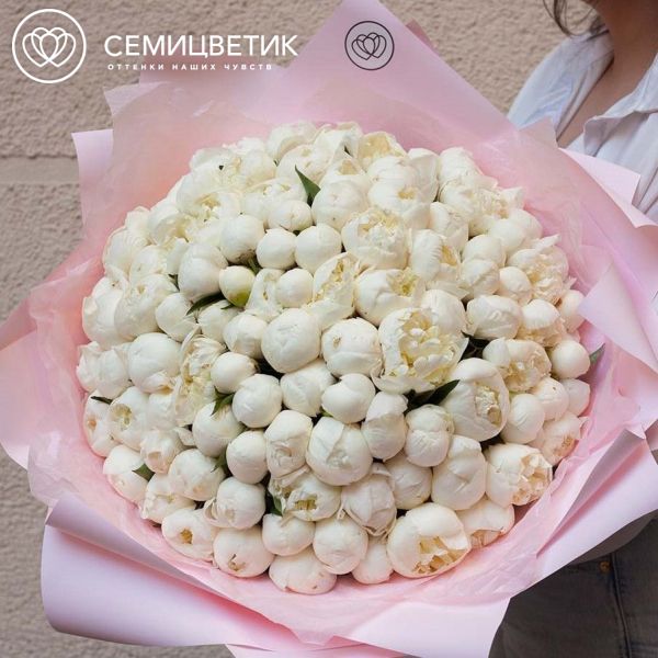 Букет из 101 белого пиона Standart Plus