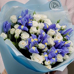 Букет из 13 белых кустовых роз 40 см (Кения) и 10 синих ирисов