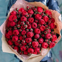 Букет из 51 красной кустовой пионовидной розы Red Piano 40 см