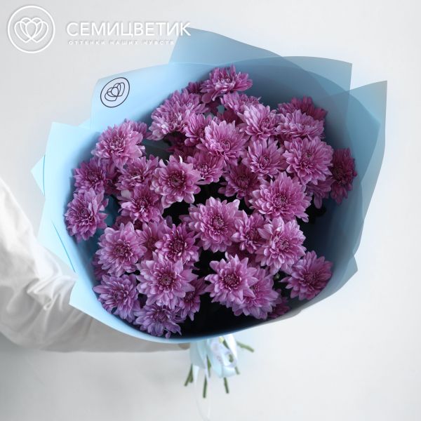 Букет из 11 розовых кустовых хризантем