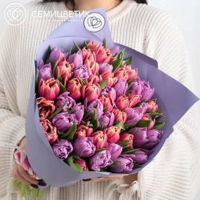 Букет из 51 розового и сиреневого пионовидного тюльпана