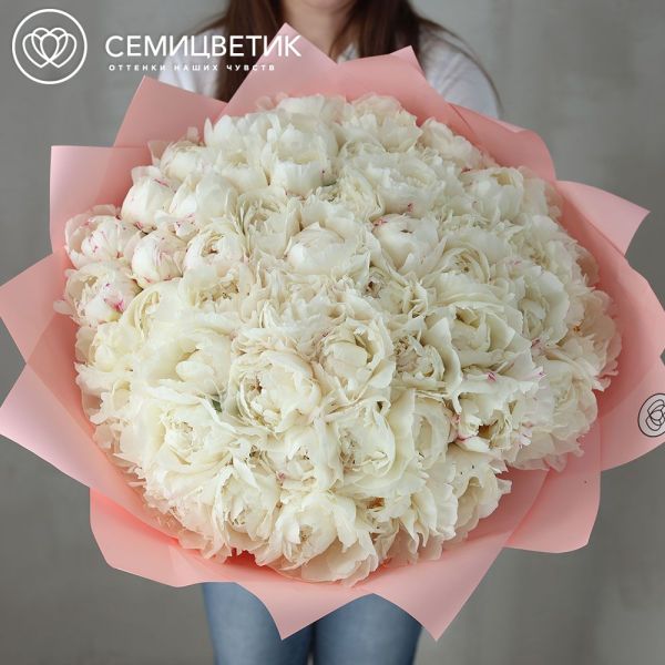 Букет из 51 белого пиона Kelway`s Glorious Premium