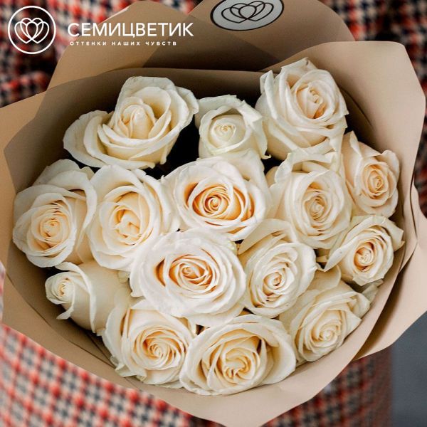 Букет из 15 белых роз Vendela 50 см (Эквадор) в кремовой пленке