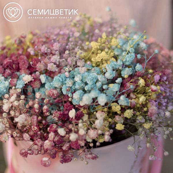 Букет в розовой шляпной коробке Amour Mini из 9 гипсофил микс