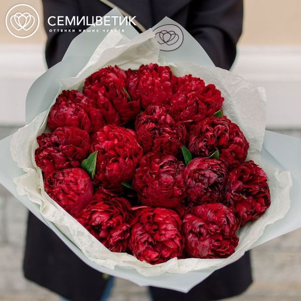 Букет из 15 бордовых пионов Premium в голубой пленке