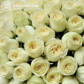 Букет из 101 белой пионовидной розы Titanium (Кения) 40 см в прозрачной упаковке 