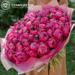 Букет из 101 ярко-розового пиона Command Performance Premium в кремовой пленке