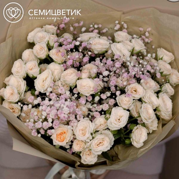 Букет из 13 кремовых кустовых роз 40 см (Кения) и 2 розовых гипсофил