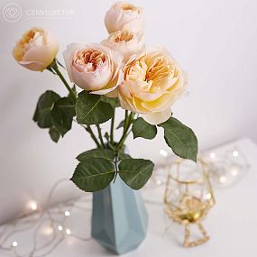 Букет из 5 персиковых пионовидных роз Juliet 50 см (Эквадор)