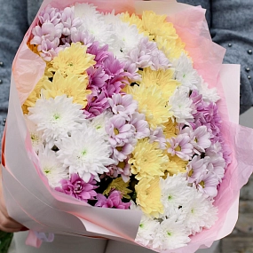 Букет из 15 кустовых хризантем микс в розовой пленке