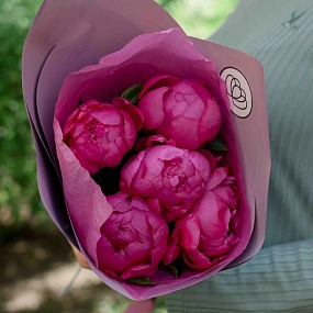 Букет из 5 малиновых пионов Premium