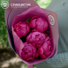 Букет из 5 малиновых пионов Premium