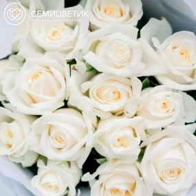 Букет из 15 белых роз 35-40 см (Россия) в голубой пленке