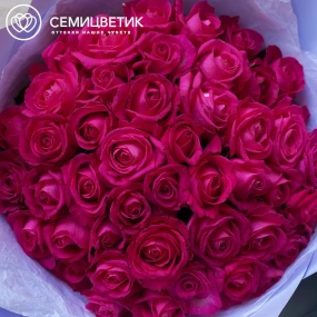 Букет из 45 малиновых роз 35-40 см (Россия) в сиреневой пленке