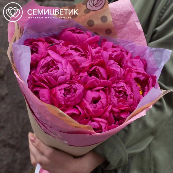 Букет из 19 малиновых пионов Standart в розовой пленке