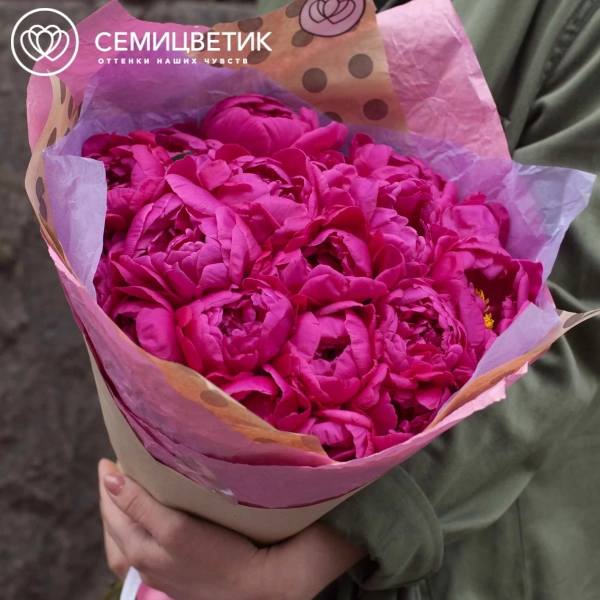 Букет из 19 малиновых пионов Standart в розовой пленке