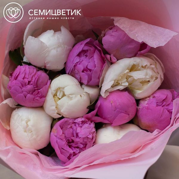 Букет из 11 ярко-розовых и белых пионов Standart Plus в розовой пленке