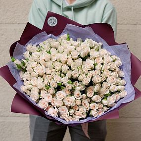 Букет из 51 кремовой кустовой розы 40 см (Кения) в розовой пленке