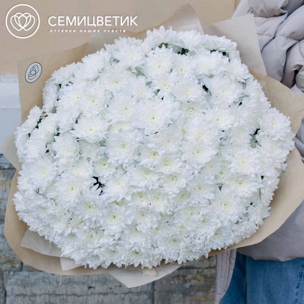 Букет из 51 белой кустовой хризантемы