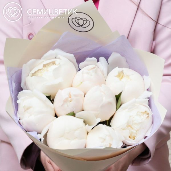 Букет из 9 кремовых пионов Bowl of Cream Premium