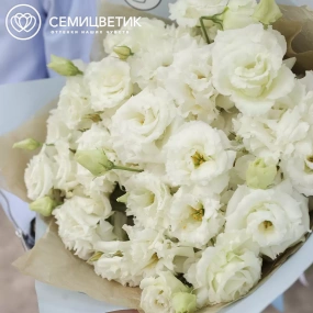 Букет из 25 белых махровых лизиантусов в голубой пленке