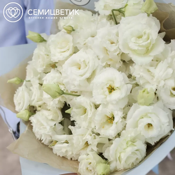 Букет из 25 белых махровых лизиантусов в голубой пленке