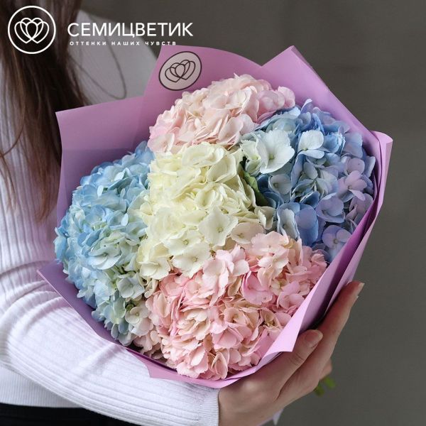 Букет из 5 гортензий нежный микс в сиреневой пленке