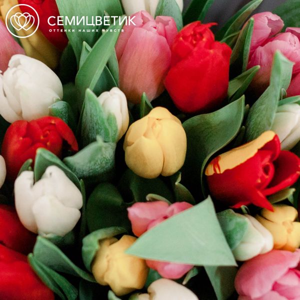 Букет из 25 тюльпанов микс в сиреневой пленке