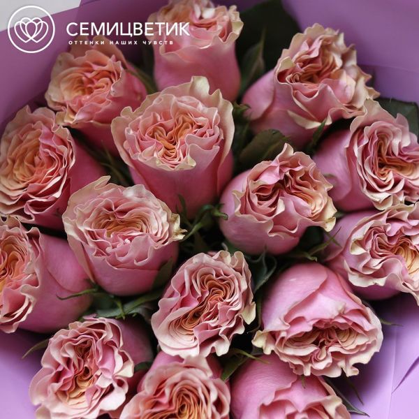 Букет из 15 розовых пионовидных роз Mabella 40 см в сиреневой упаковке