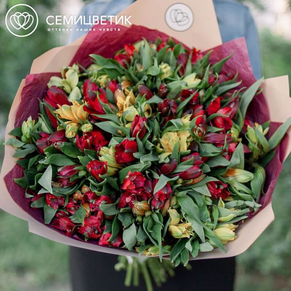 Букет из 35 красных и желтых альстромерий