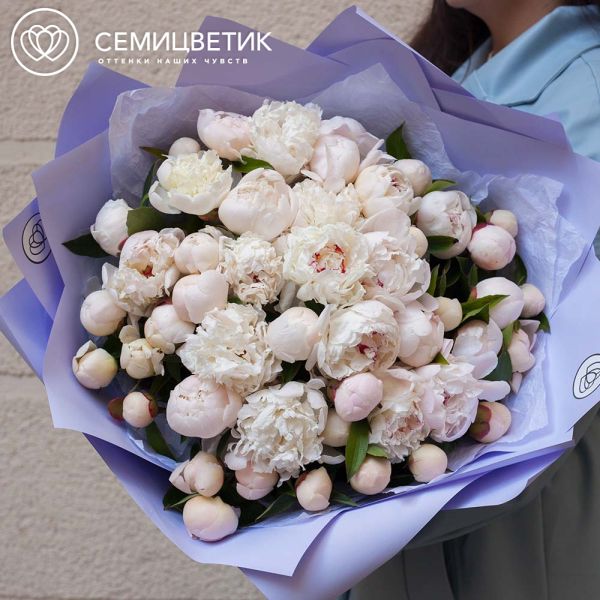 Букет из 51 нежно-розового пиона Standart Plus в зеленой пленке