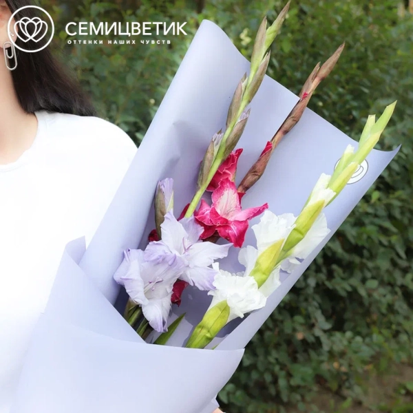 Букет из 3 гладиолусов микс в сиреневой пленке