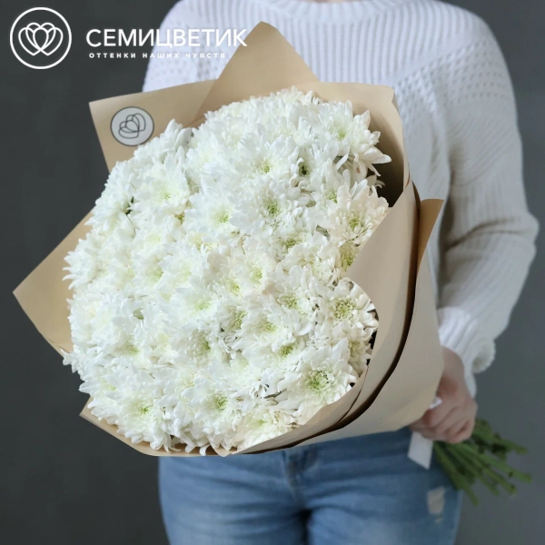 Букет из 15 белых кустовых хризантем в кремовой пленке