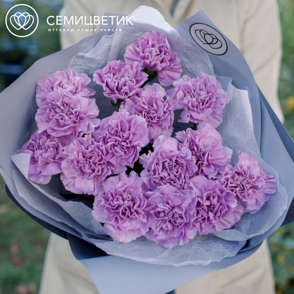 Букет из 15 сиреневых (лунных) гвоздик