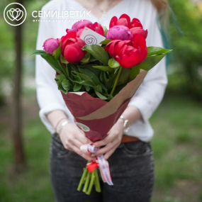 Букет из 7 пионов Old Faithful и Coral Sunset Standart в упаковке