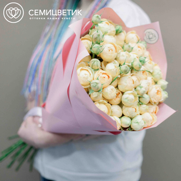 Букет из 25 кремовых кустовых пионовидных роз 70 см (Россия) в розовой пленке