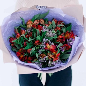 Монобукет  из 25 альстромерий в красных и фиолетовых тонах в розовой пленке