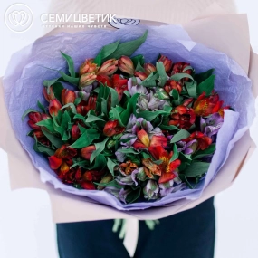 Букет из 25 альстромерий в красных и фиолетовых тонах в розовой пленке