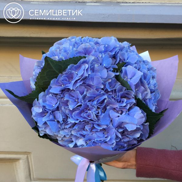 Букет из 3 синих гортензий