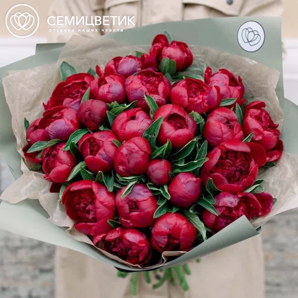 Букет из 25 бордовых пионов Standart Plus